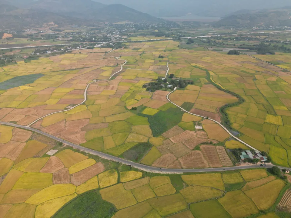 Kho gạo của Trương Thị The